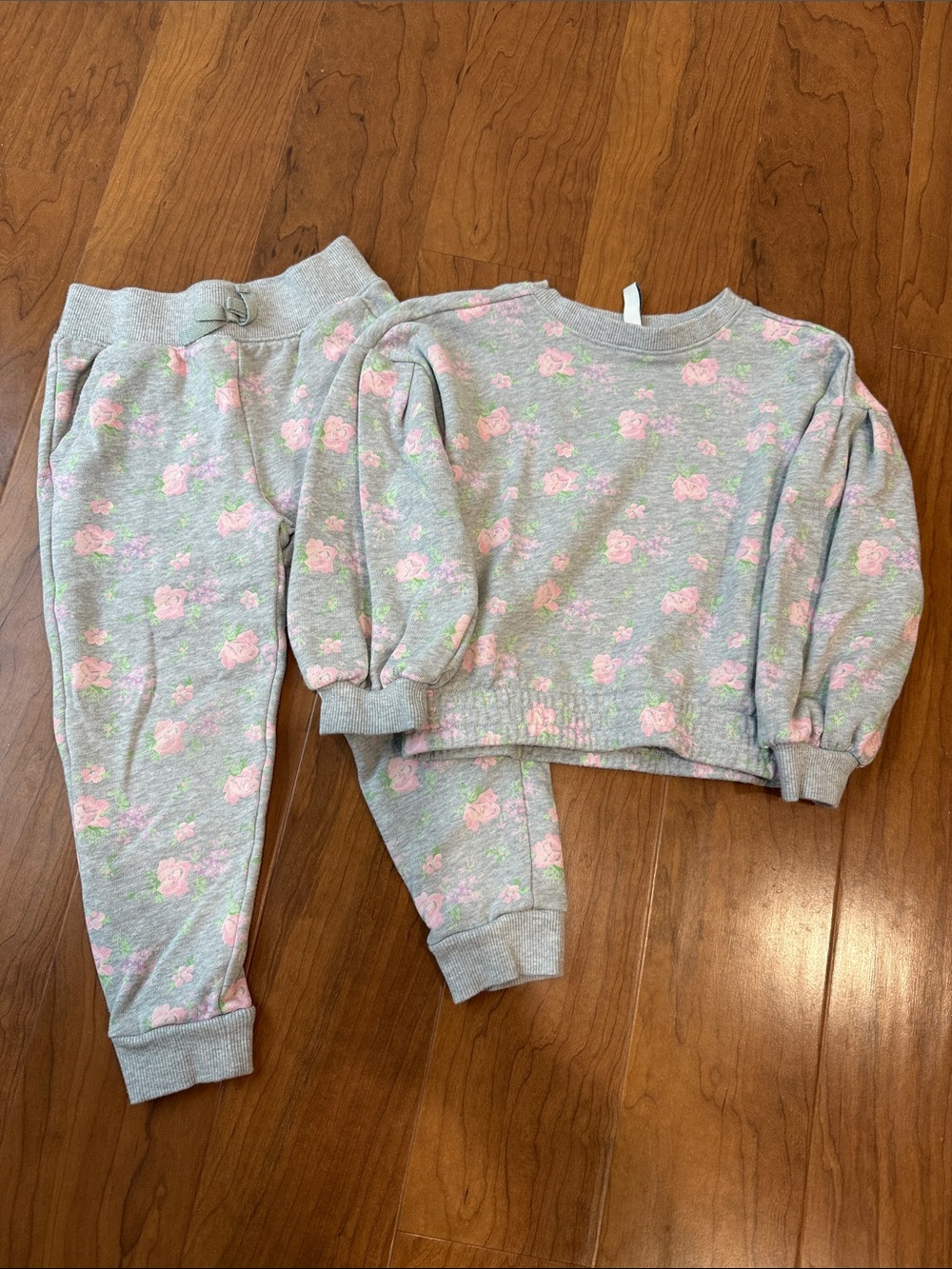 Janie and Jack Floral Gray Pink Jogger Crewneck Set Casual Comfy Cotton Blend 5